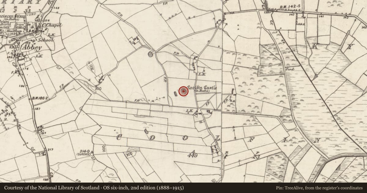 Ordnance Survey six-inch map, 2nd edition (1888–1915) covering the location of Earthwork, Coolfin, County Galway, with a pin at the register's coordinates