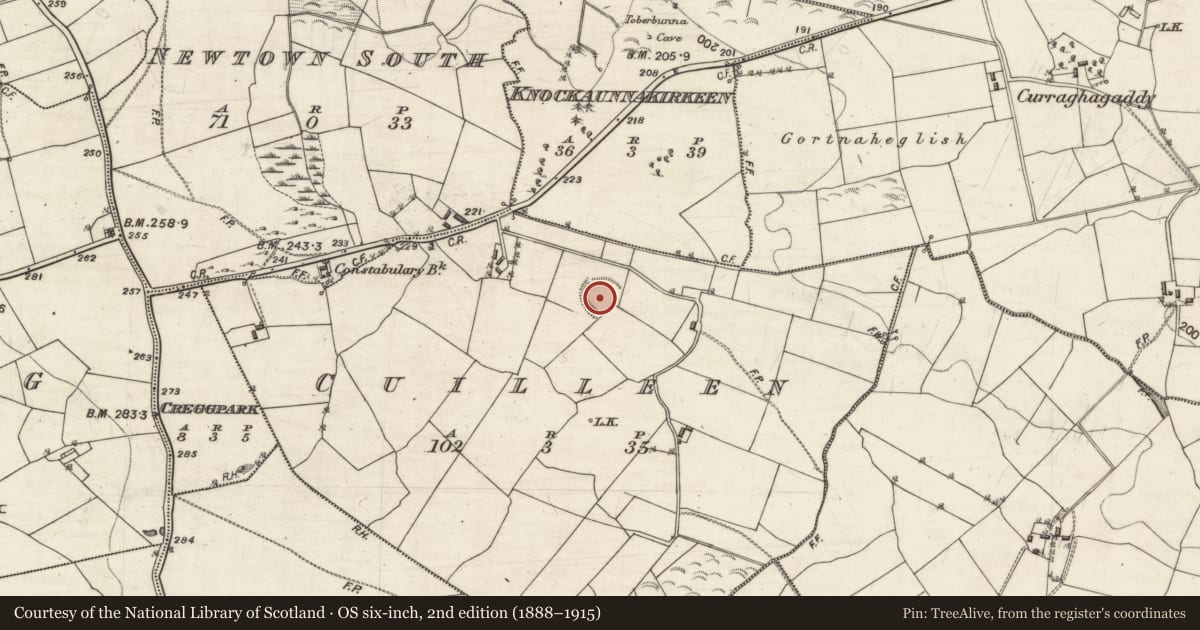 Ordnance Survey six-inch map, 2nd edition (1888–1915) covering the location of Ringfort - rath, Cuilleen, County Galway, with a pin at the register's coordinates