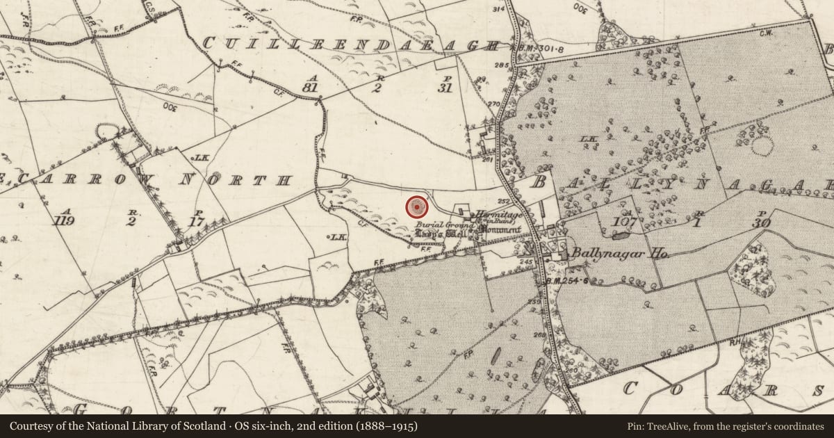 Ordnance Survey six-inch map, 2nd edition (1888–1915) covering the location of Quarry, Cuilleendaeagh, County Galway, with a pin at the register's coordinates