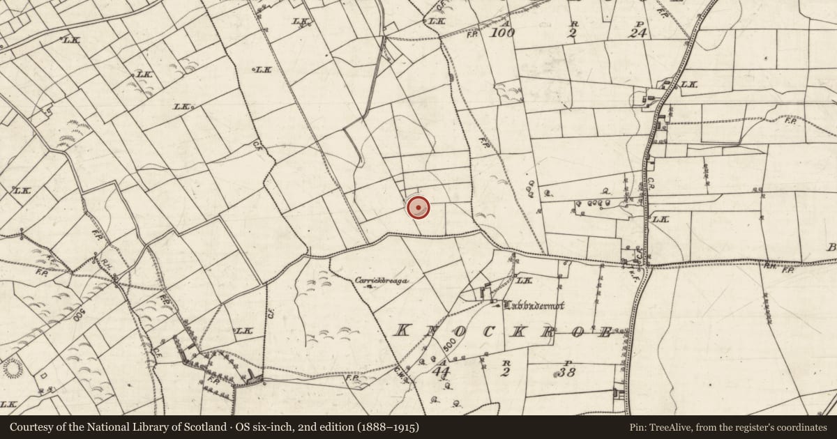Ordnance Survey six-inch map, 2nd edition (1888–1915) covering the location of Ringfort - rath, Drumkeary East, County Galway, with a pin at the register's coordinates
