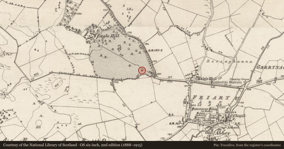 Ordnance Survey six-inch map, 2nd edition (1888–1915) covering the location of Enclosure, Eaglehill, County Galway, with a pin at the register's coordinates