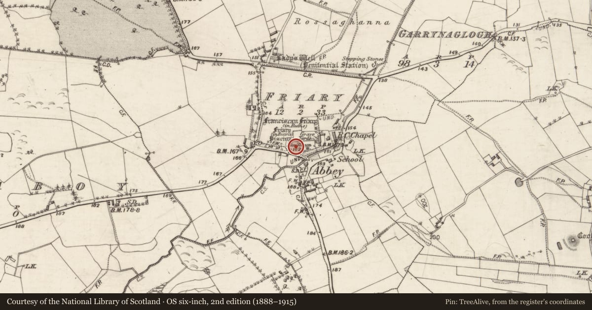 Ordnance Survey six-inch map, 2nd edition (1888–1915) covering the location of Graveyard, Friary, County Galway, with a pin at the register's coordinates