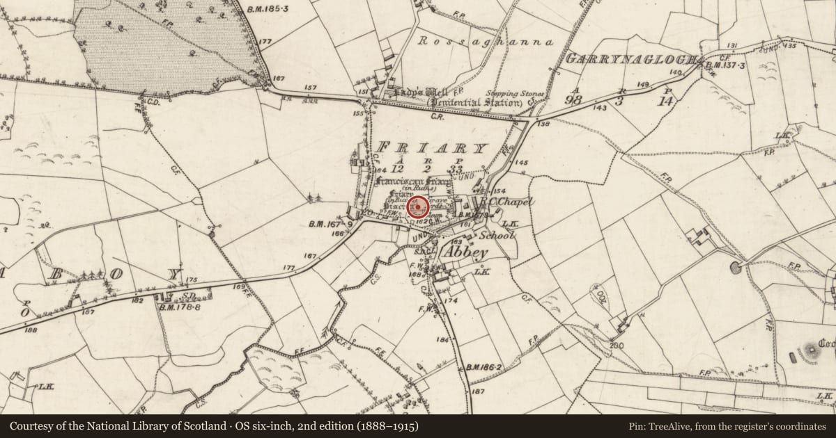Ordnance Survey six-inch map, 2nd edition (1888–1915) covering the location of Cross-slab, Friary, County Galway, with a pin at the register's coordinates