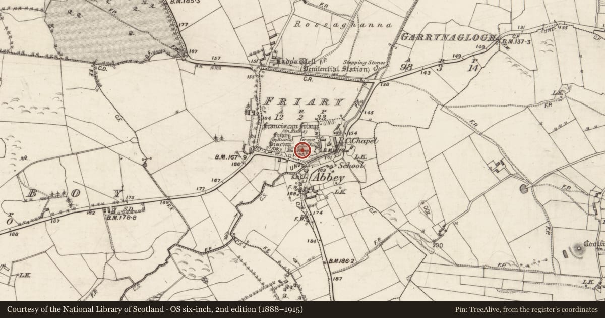 Ordnance Survey six-inch map, 2nd edition (1888–1915) covering the location of Wall monument, Friary, County Galway, with a pin at the register's coordinates