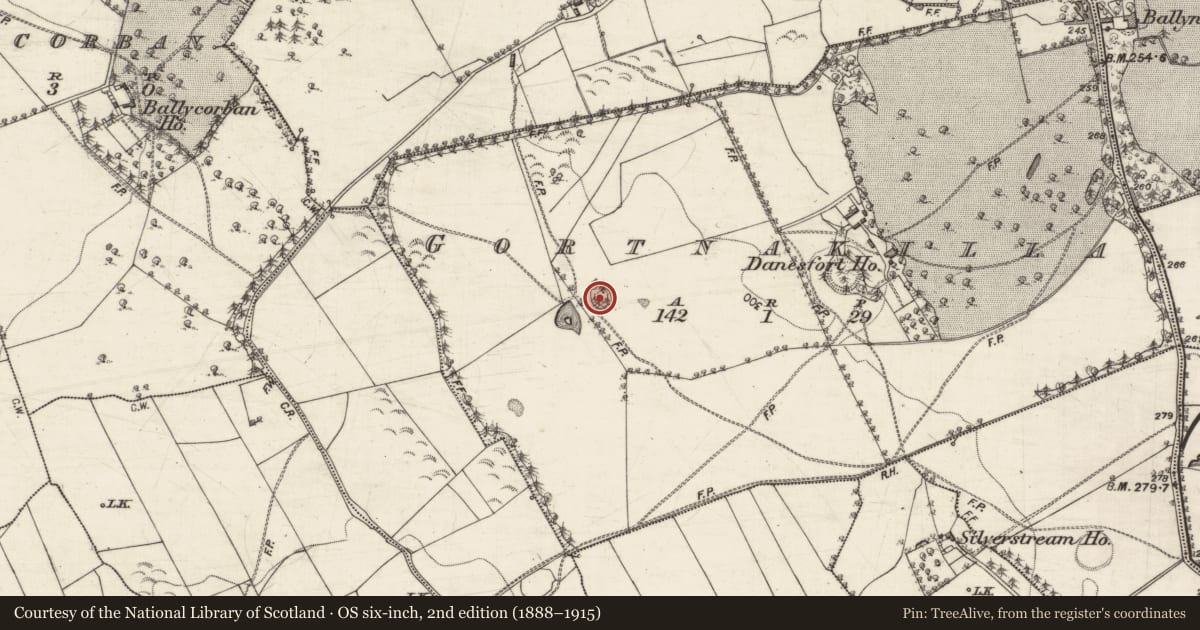 Ordnance Survey six-inch map, 2nd edition (1888–1915) covering the location of Designed landscape feature, Gortnakilla, County Galway, with a pin at the register's coordinates