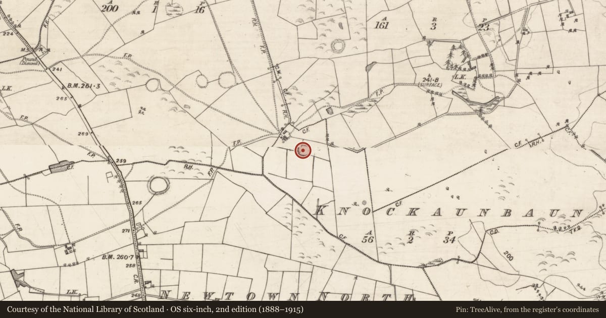 Ordnance Survey six-inch map, 2nd edition (1888–1915) covering the location of Ringfort - rath, Knockaunbaun, County Galway, with a pin at the register's coordinates