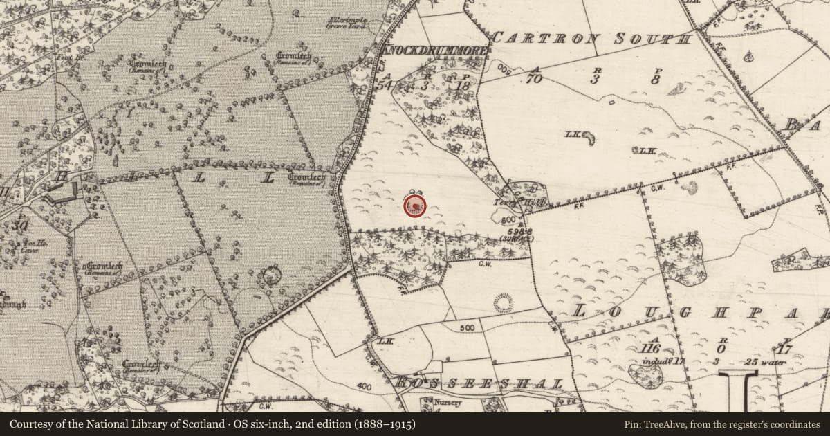 Ordnance Survey six-inch map, 2nd edition (1888–1915) covering the location of Ringfort - rath, Knockdrummore, County Galway, with a pin at the register's coordinates