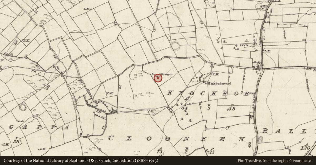 Ordnance Survey six-inch map, 2nd edition (1888–1915) covering the location of Standing stone, Knockroe, County Galway, with a pin at the register's coordinates