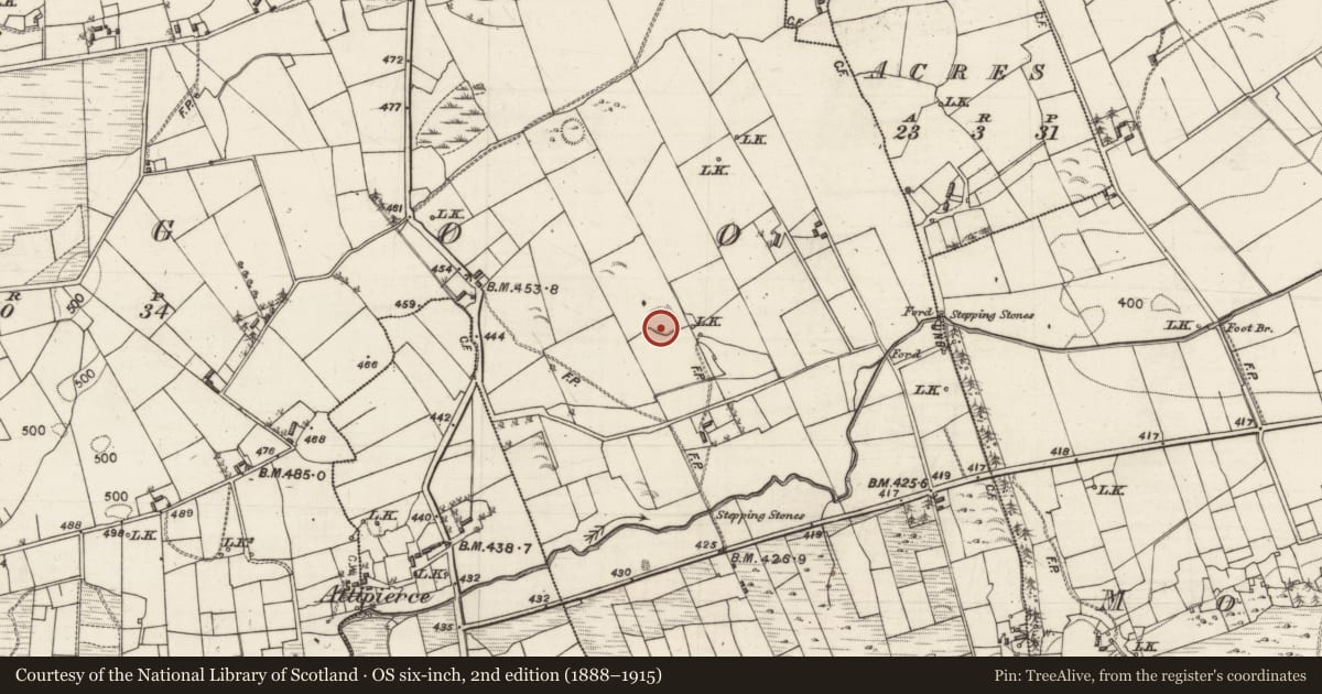 Ordnance Survey six-inch map, 2nd edition (1888–1915) covering the location of Ringfort - rath, Laggoo, County Galway, with a pin at the register's coordinates