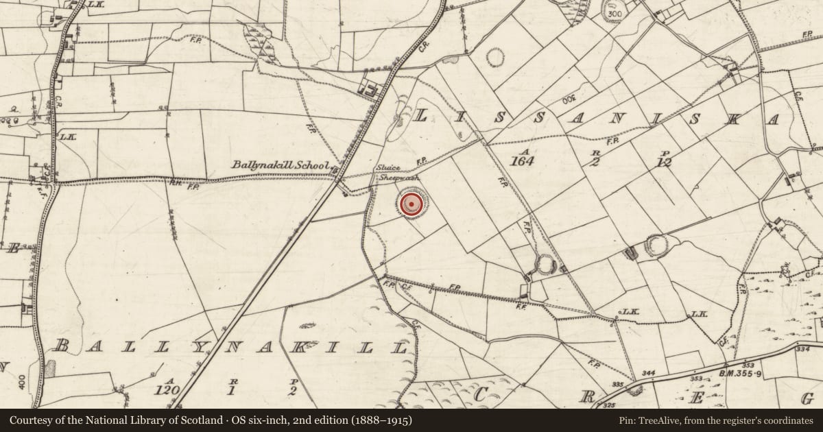 Ordnance Survey six-inch map, 2nd edition (1888–1915) covering the location of Souterrain, Lissaniska, County Galway, with a pin at the register's coordinates