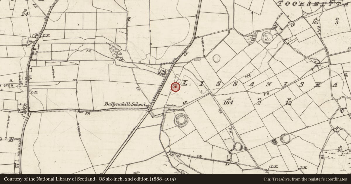 Ordnance Survey six-inch map, 2nd edition (1888–1915) covering the location of Quarry, Lissaniska, County Galway, with a pin at the register's coordinates