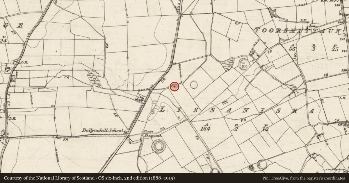 Ordnance Survey six-inch map, 2nd edition (1888–1915) covering the location of Quarry, Lissaniska, County Galway, with a pin at the register's coordinates