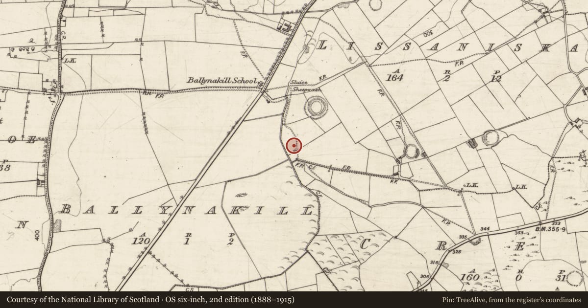 Ordnance Survey six-inch map, 2nd edition (1888–1915) covering the location of Fulacht fia, Lissaniska, County Galway, with a pin at the register's coordinates