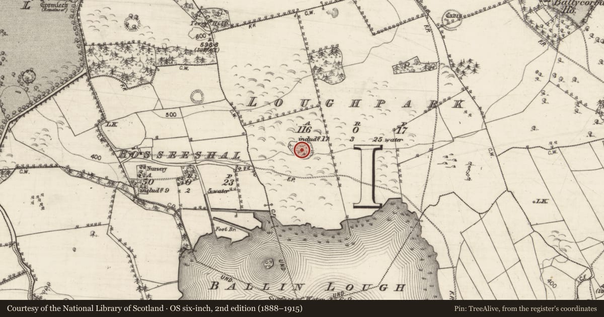 Ordnance Survey six-inch map, 2nd edition (1888–1915) covering the location of Souterrain, Loughpark, County Galway, with a pin at the register's coordinates