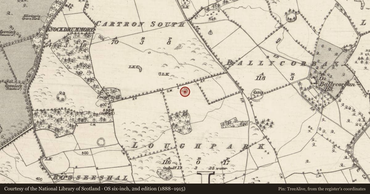 Ordnance Survey six-inch map, 2nd edition (1888–1915) covering the location of Quarry, Loughpark, County Galway, with a pin at the register's coordinates