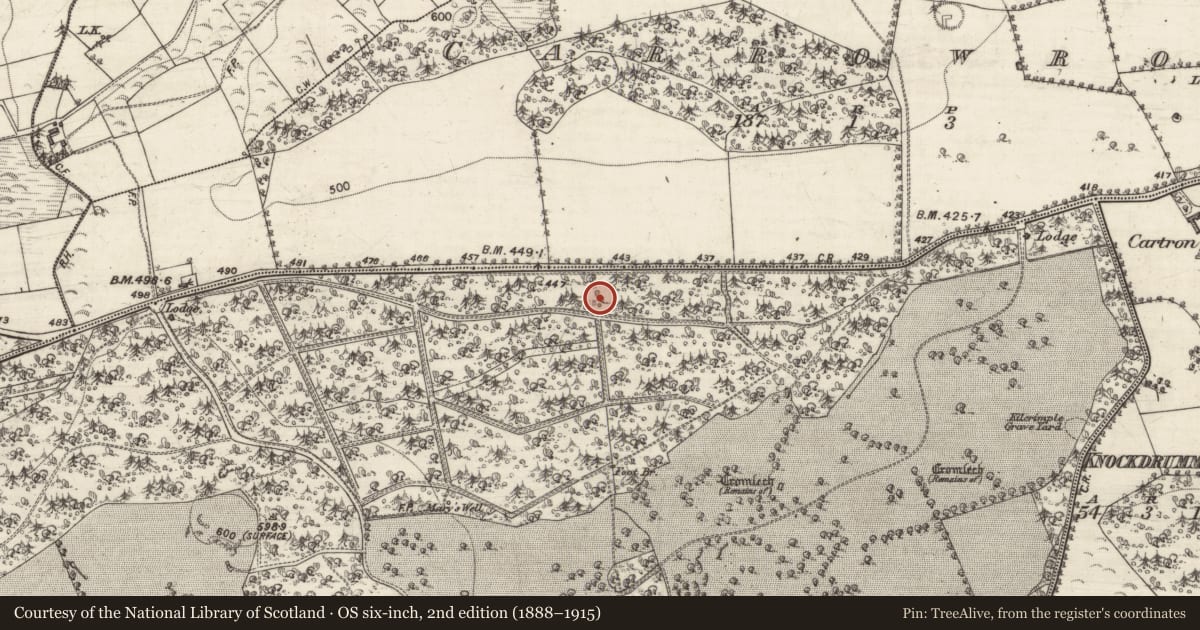 Ordnance Survey six-inch map, 2nd edition (1888–1915) covering the location of Ringfort - rath, Marblehill, County Galway, with a pin at the register's coordinates