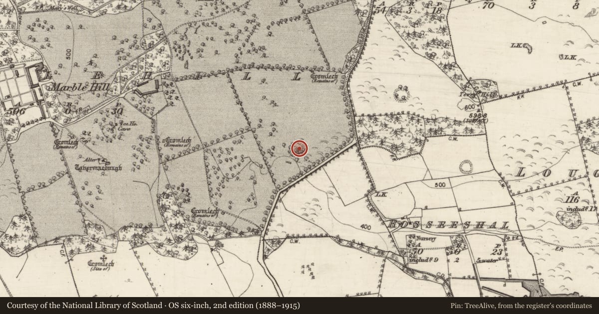 Ordnance Survey six-inch map, 2nd edition (1888–1915) covering the location of Designed landscape feature, Marblehill, County Galway, with a pin at the register's coordinates