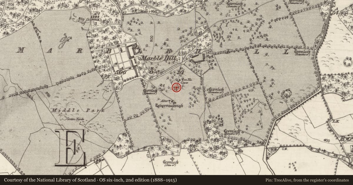 Ordnance Survey six-inch map, 2nd edition (1888–1915) covering the location of Souterrain, Marblehill, County Galway, with a pin at the register's coordinates