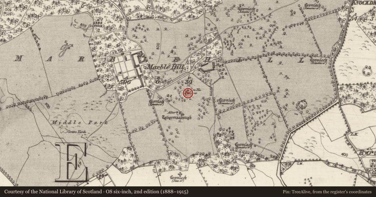 Ordnance Survey six-inch map, 2nd edition (1888–1915) covering the location of Icehouse, Marblehill, County Galway, with a pin at the register's coordinates