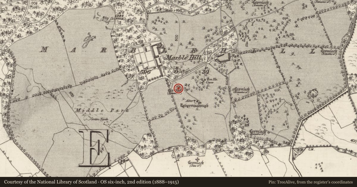 Ordnance Survey six-inch map, 2nd edition (1888–1915) covering the location of Anomalous stone group, Marblehill, County Galway, with a pin at the register's coordinates