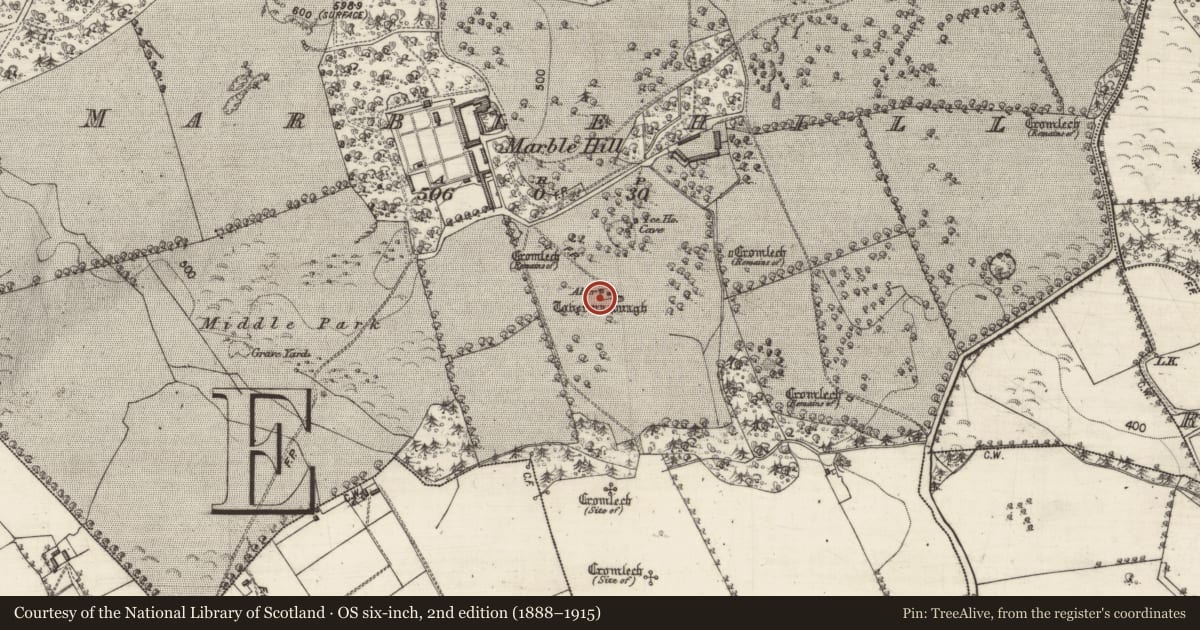 Ordnance Survey six-inch map, 2nd edition (1888–1915) covering the location of Altar, Marblehill, County Galway, with a pin at the register's coordinates