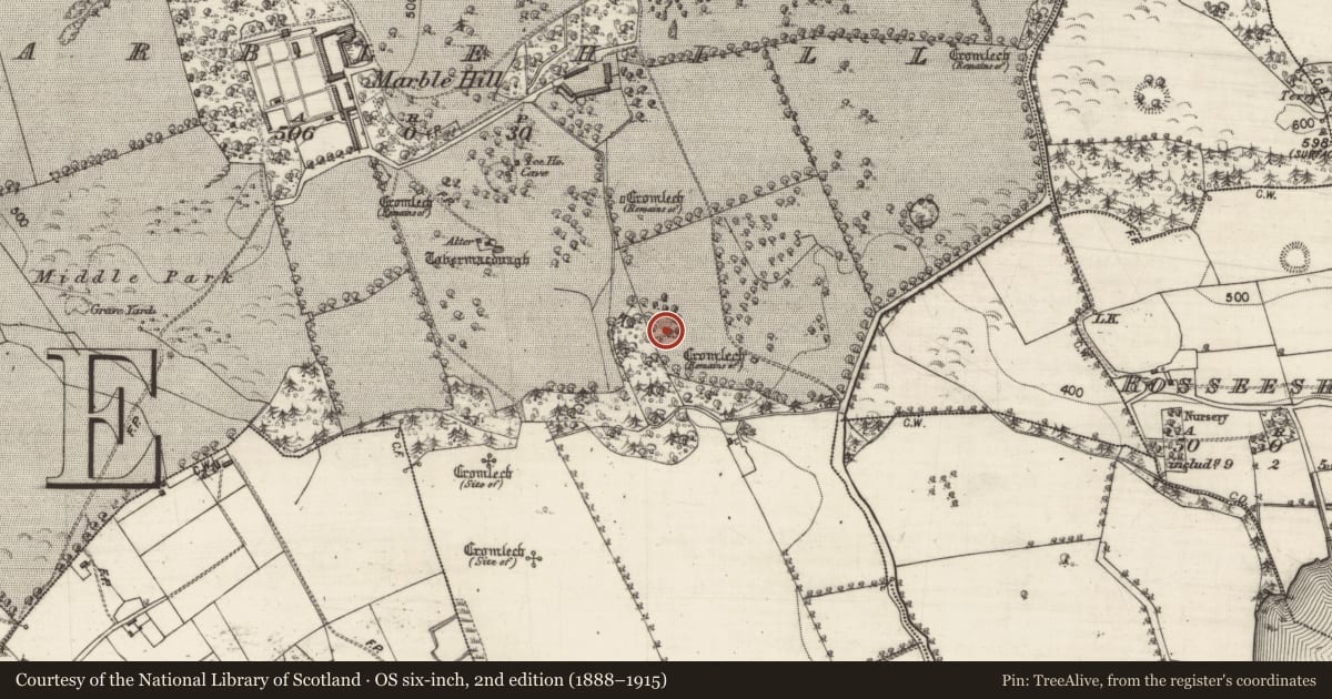 Ordnance Survey six-inch map, 2nd edition (1888–1915) covering the location of Quarry, Marblehill, County Galway, with a pin at the register's coordinates