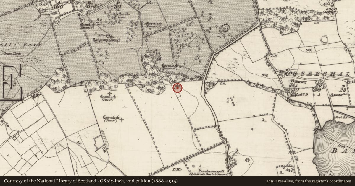 Ordnance Survey six-inch map, 2nd edition (1888–1915) covering the location of Quarry, Marblehill, County Galway, with a pin at the register's coordinates