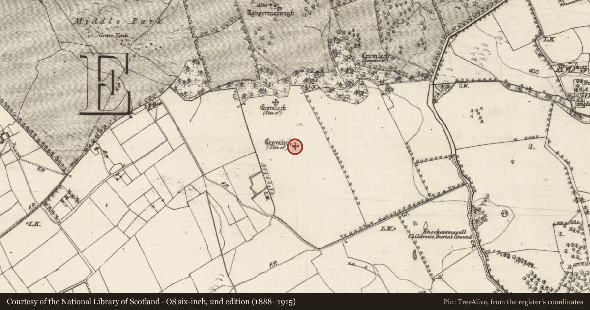 Ordnance Survey six-inch map, 2nd edition (1888–1915) covering the location of Megalithic structure, Marblehill, County Galway, with a pin at the register's coordinates