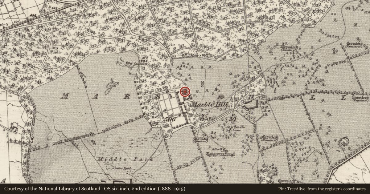 Ordnance Survey six-inch map, 2nd edition (1888–1915) covering the location of Country house, Marblehill, County Galway, with a pin at the register's coordinates