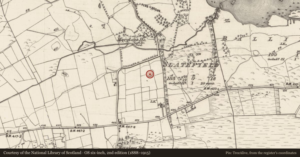 Ordnance Survey six-inch map, 2nd edition (1888–1915) covering the location of Ringfort - rath, Moyglass, County Galway, with a pin at the register's coordinates
