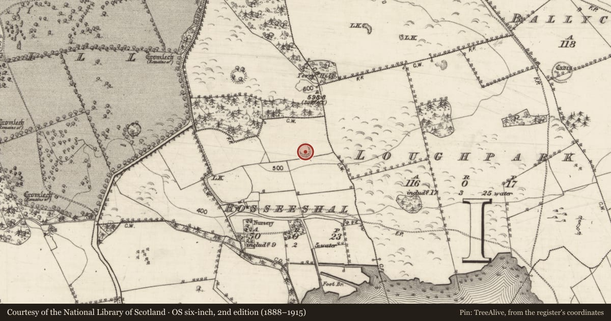 Ordnance Survey six-inch map, 2nd edition (1888–1915) covering the location of Ringfort - rath, Rosseeshal, County Galway, with a pin at the register's coordinates
