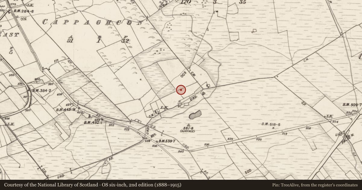 Ordnance Survey six-inch map, 2nd edition (1888–1915) covering the location of Mine, Cappaghcon, County Galway, with a pin at the register's coordinates