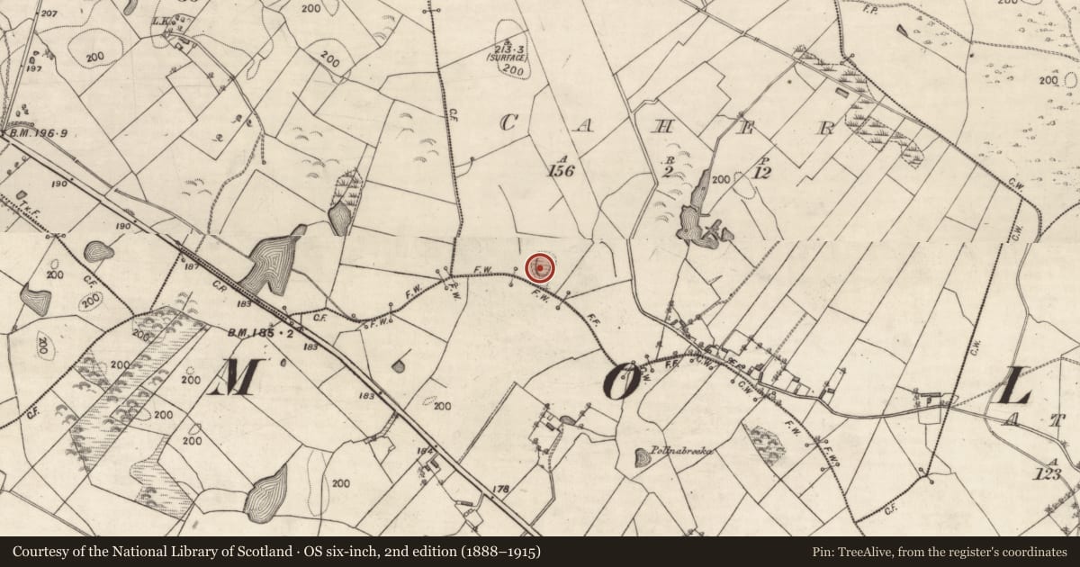 Ordnance Survey six-inch map, 2nd edition (1888–1915) covering the location of Quarry, Caher, County Galway, with a pin at the register's coordinates