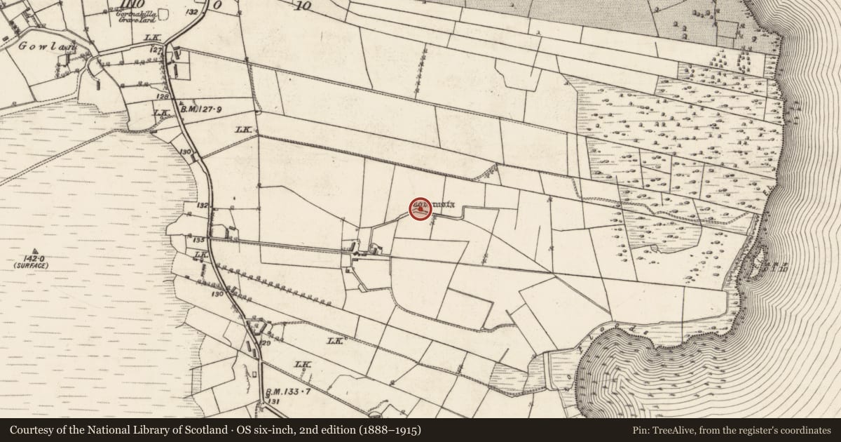 Ordnance Survey six-inch map, 2nd edition (1888–1915) covering the location of Ritual site - holy well, Cloonmoylan, County Galway, with a pin at the register's coordinates