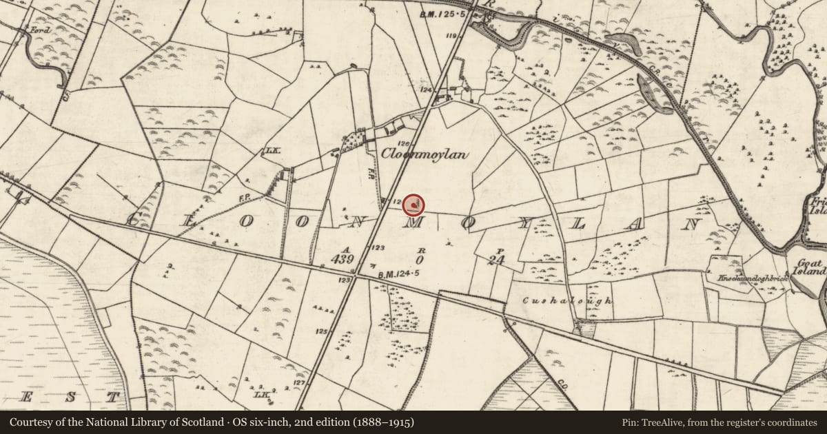 Ordnance Survey six-inch map, 2nd edition (1888–1915) covering the location of Quarry, Cloonmoylan, County Galway, with a pin at the register's coordinates