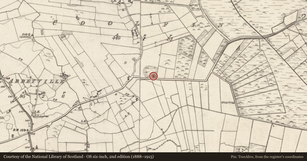 Ordnance Survey six-inch map, 2nd edition (1888–1915) covering the location of Quarry, Coolfin, County Galway, with a pin at the register's coordinates