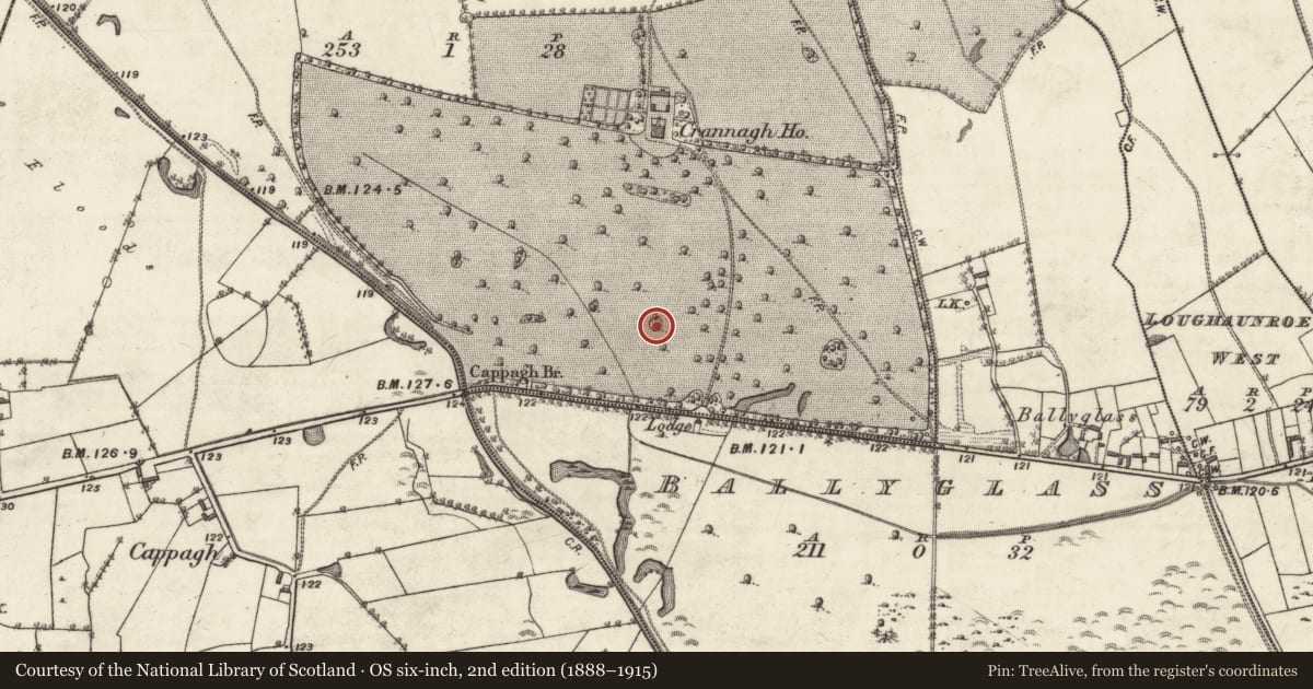 Ordnance Survey six-inch map, 2nd edition (1888–1915) covering the location of Designed landscape feature, Crannagh, County Galway, with a pin at the register's coordinates