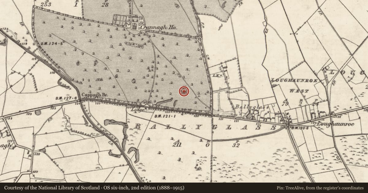 Ordnance Survey six-inch map, 2nd edition (1888–1915) covering the location of Designed landscape feature, Crannagh, County Galway, with a pin at the register's coordinates