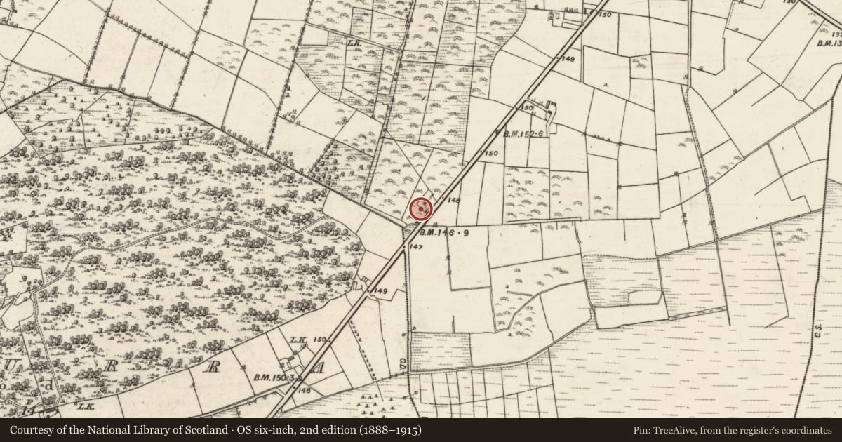 Ordnance Survey six-inch map, 2nd edition (1888–1915) covering the location of Quarry, Derryvunlam, County Galway, with a pin at the register's coordinates