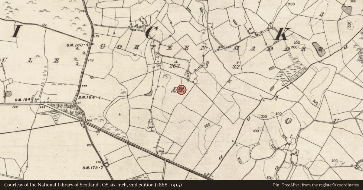 Ordnance Survey six-inch map, 2nd edition (1888–1915) covering the location of Quarry, Gorteenphadder, County Galway, with a pin at the register's coordinates