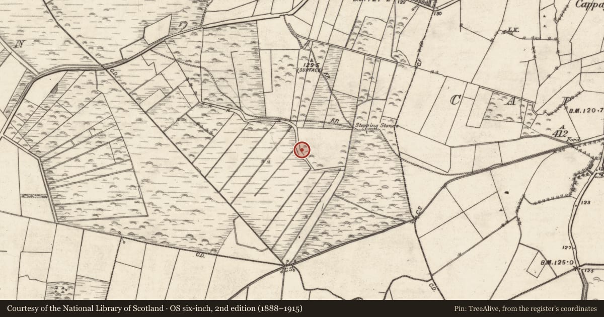 Ordnance Survey six-inch map, 2nd edition (1888–1915) covering the location of Quarry, Kylemore, County Galway, with a pin at the register's coordinates