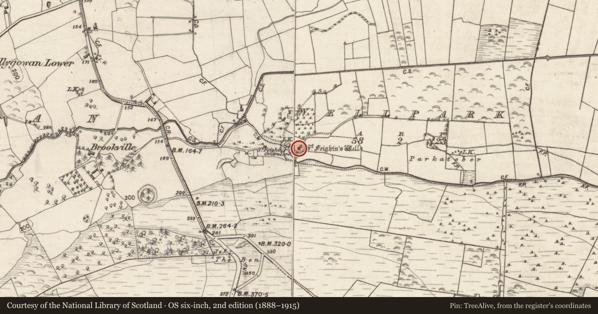 Ordnance Survey six-inch map, 2nd edition (1888–1915) covering the location of Penitential station, Wellpark, County Galway, with a pin at the register's coordinates