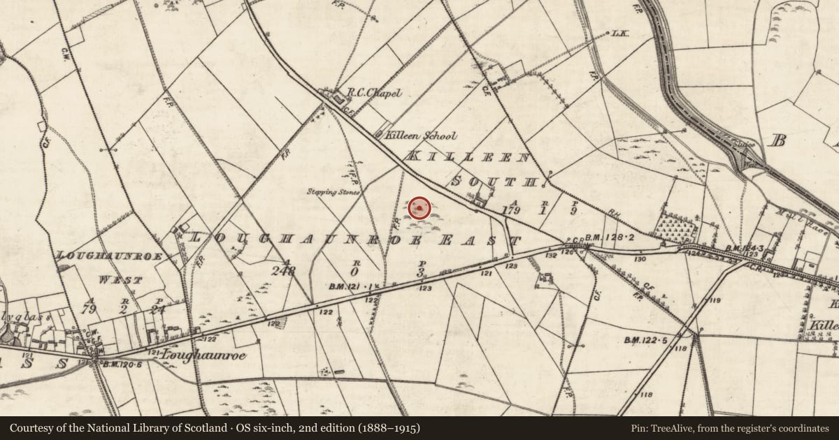 Ordnance Survey six-inch map, 2nd edition (1888–1915) covering the location of Quarry, Loughaunroe East, County Galway, with a pin at the register's coordinates