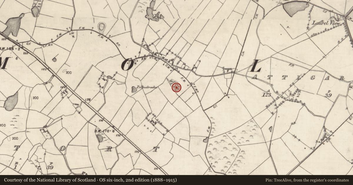 Ordnance Survey six-inch map, 2nd edition (1888–1915) covering the location of Quarry, Oultort, County Galway, with a pin at the register's coordinates