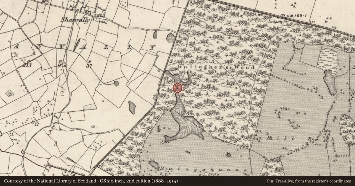 Ordnance Survey six-inch map, 2nd edition (1888–1915) covering the location of Causeway, Portumna Demesne, County Galway, with a pin at the register's coordinates