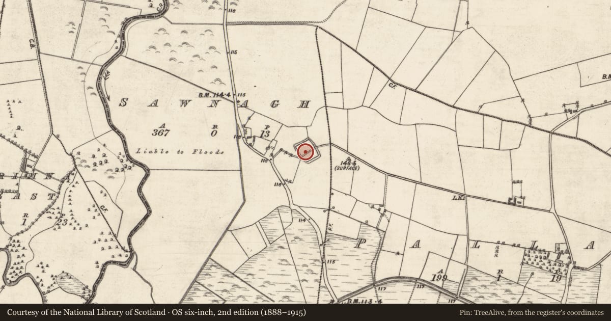 Ordnance Survey six-inch map, 2nd edition (1888–1915) covering the location of Enclosure, Sawnagh, County Galway, with a pin at the register's coordinates