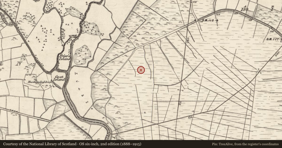 Ordnance Survey six-inch map, 2nd edition (1888–1915) covering the location of Quarry, Sawnagh, County Galway, with a pin at the register's coordinates