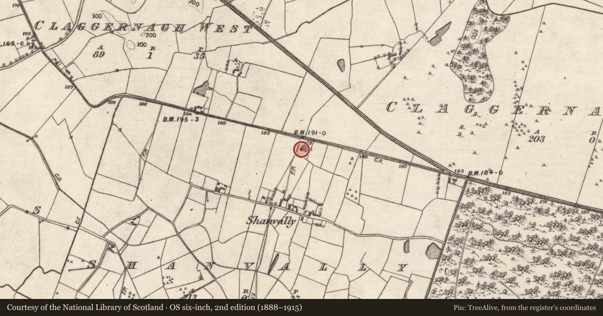 Ordnance Survey six-inch map, 2nd edition (1888–1915) covering the location of Quarry, Shanvally, County Galway, with a pin at the register's coordinates