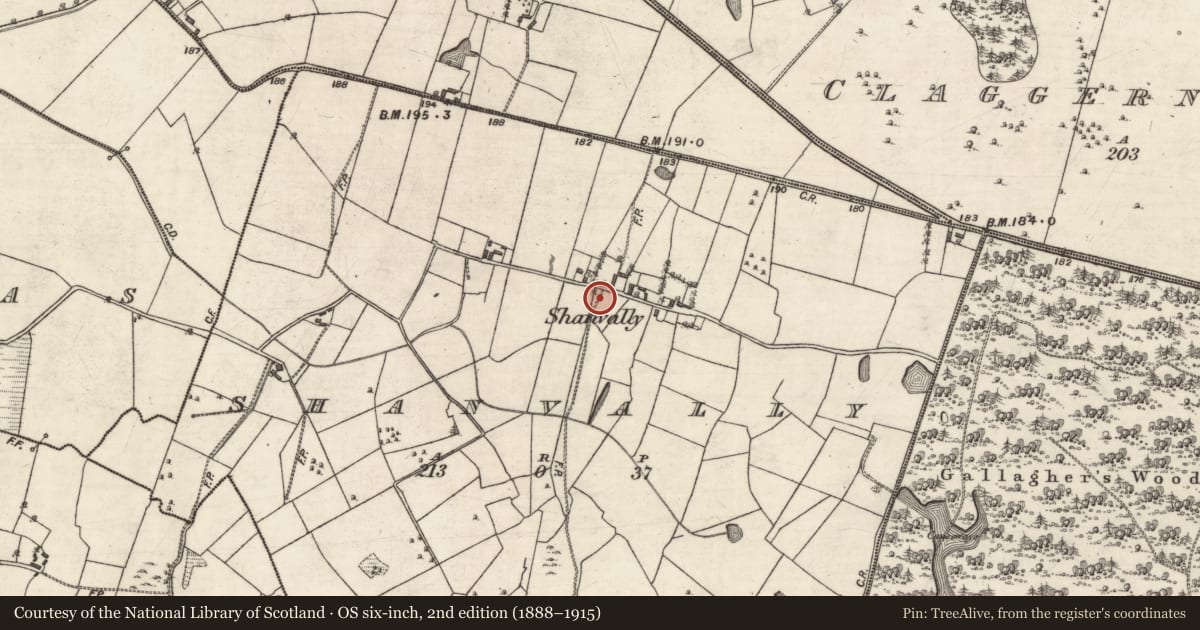 Ordnance Survey six-inch map, 2nd edition (1888–1915) covering the location of Settlement cluster, Shanvally, County Galway, with a pin at the register's coordinates