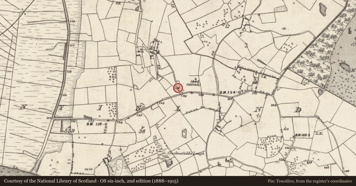 Ordnance Survey six-inch map, 2nd edition (1888–1915) covering the location of Quarry, Stonyisland, County Galway, with a pin at the register's coordinates